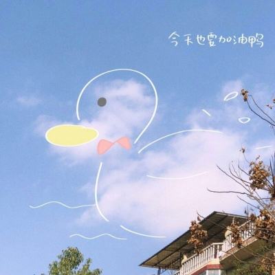 体育投注网址365