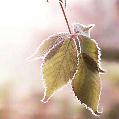 Kaiyun体育官方入口截图